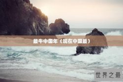 最牛中国年（现在中国最）