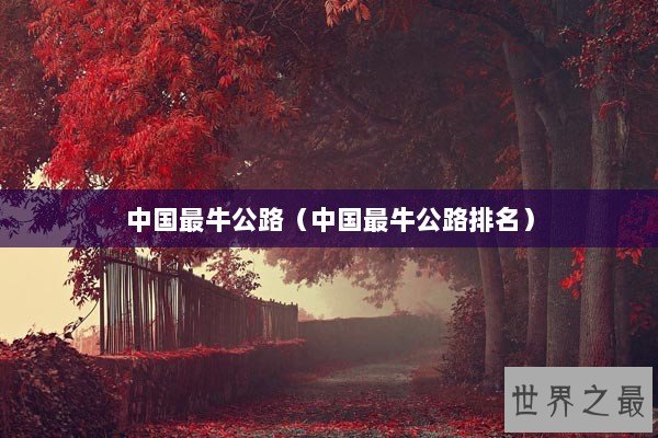 中国最牛公路（中国最牛公路排名）