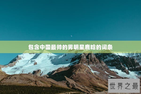 包含中国最帅的男明星鹿晗的词条