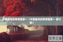 中国最帅的男明星第一（中国最帅的男明星第一 排行榜）