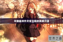 中国最帅外交官王毅的简单介绍