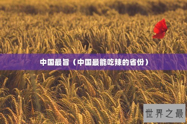 中国最旨（中国最能吃辣的省份）