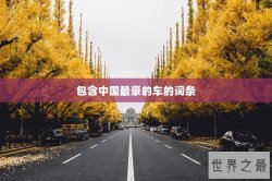 包含中国最豪的车的词条