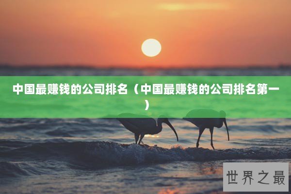中国最赚钱的公司排名（中国最赚钱的公司排名第一）
