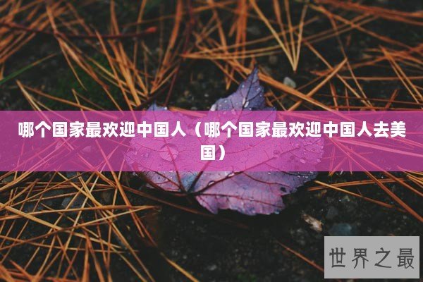哪个国家最欢迎中国人（哪个国家最欢迎中国人去美国）
