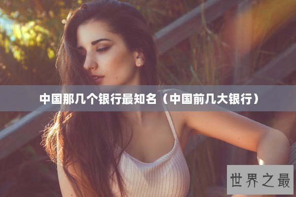 中国那几个银行最知名（中国前几大银行）