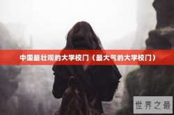 中国最壮观的大学校门（最大气的大学校门）