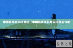 中国最牛的手机号码（中国最贵手机号码排名前10名）