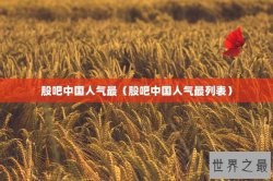 股吧中国人气最（股吧中国人气最列表）