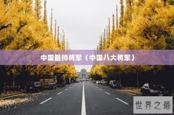 中国最帅将军（中国八大将军）