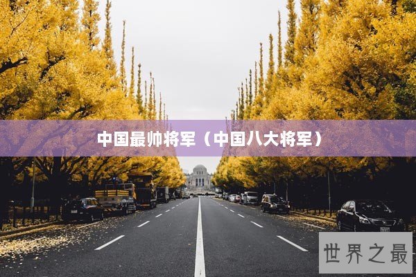 中国最帅将军（中国八大将军）