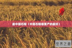 最中国石榴（中国石榴哪里产的最好）