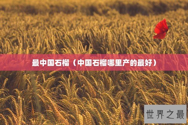 最中国石榴（中国石榴哪里产的最好）