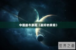 中国最牛家庭（最好的家庭）