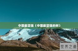 中国最坚强（中国最坚强的树）