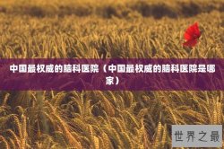 中国最权威的脑科医院（中国最权威的脑科医院是哪家）