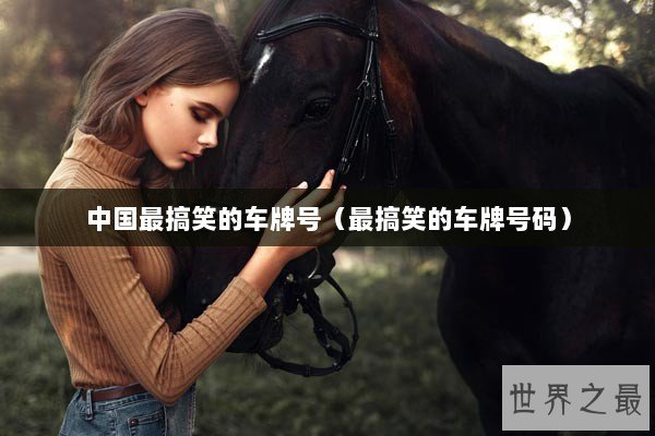 中国最搞笑的车牌号（最搞笑的车牌号码）