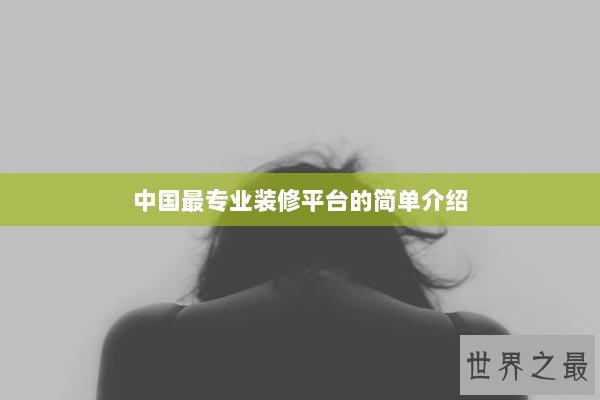 中国最专业装修平台的简单介绍