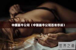 中国最牛公司（中国最牛公司百年华诞）