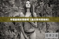 中国最粗的黄杨树（最古老的黄杨树）
