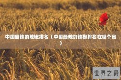 中国最辣的辣椒排名（中国最辣的辣椒排名在哪个省）