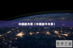 中国最夫妻（中国最牛夫妻）