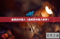 最黑的中国人（最黑的中国人歌手）