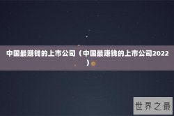 中国最赚钱的上市公司（中国最赚钱的上市公司2022）