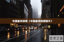 中国最帅保镖（中国最帅保镖图片）