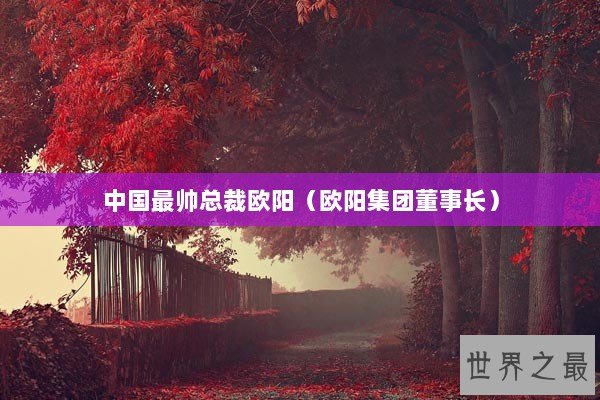 中国最帅总裁欧阳（欧阳集团董事长）