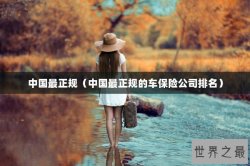 中国最正规（中国最正规的车保险公司排名）