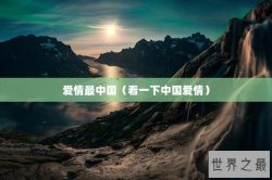 爱情最中国（看一下中国爱情）