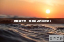 中国最火的（中国最火的电视剧）