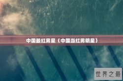 中国最红男星（中国当红男明星）