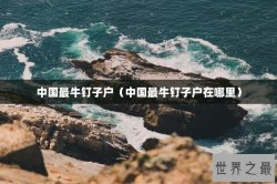 中国最牛钉子户（中国最牛钉子户在哪里）