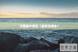 中国最牛婚车（最豪华婚车）