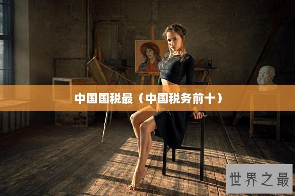 中国国税最（中国税务前十）