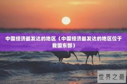 中国经济最发达的地区（中国经济最发达的地区位于我国东部）