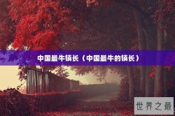 中国最牛镇长（中国最牛的镇长）