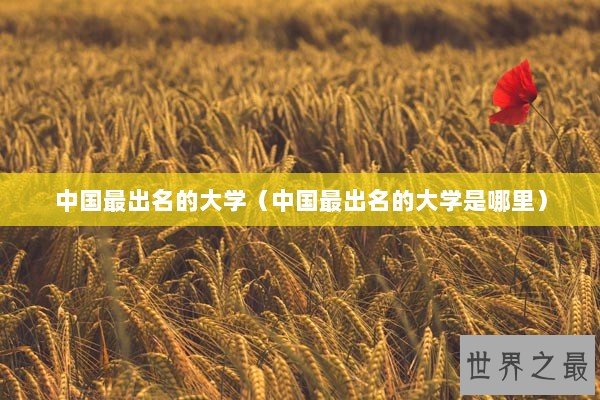 中国最出名的大学（中国最出名的大学是哪里）