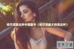 哈尔滨派出所中国最牛（哈尔滨最大的派出所）