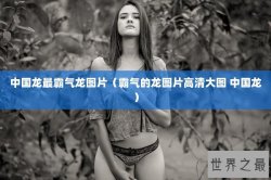 中国龙最霸气龙图片（霸气的龙图片高清大图 中国龙）