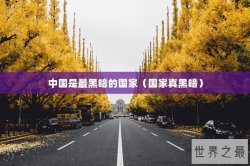 中国是最黑暗的国家（国家真黑暗）