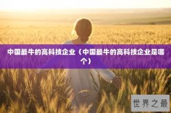 中国最牛的高科技企业（中国最牛的高科技企业是哪个）