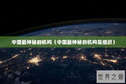 中国最神秘的机构（中国最神秘的机构是组织）