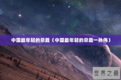 中国最年轻的总裁（中国最年轻的总裁一孙伟）