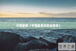 中国最累（中国最累的职业排名）