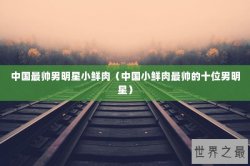 中国最帅男明星小鲜肉（中国小鲜肉最帅的十位男明星）