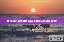 中国经济最萧条的省份（中国经济最强省份）