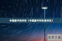 中国最牛的村长（中国最牛村长吴村长）